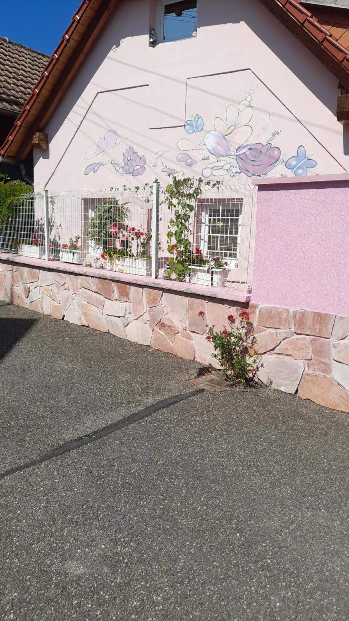 Olympe Dessenheim Exterior foto